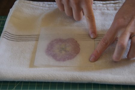 Fold the waxed paper rectangle in half to make a square